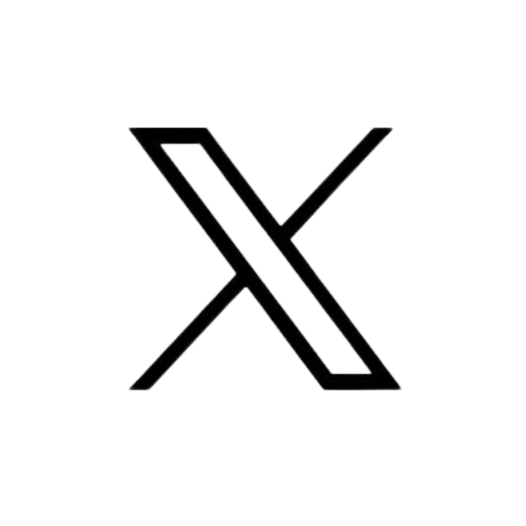 X Icon